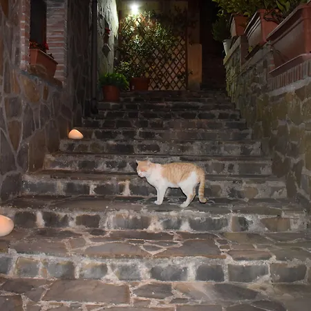 La Vecchia Taverna ベッド・アンド・ブレックファスト 3*