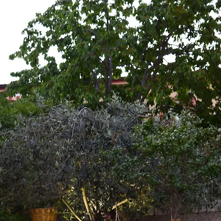 ベッド・アンド・ブレックファスト La Vecchia Taverna