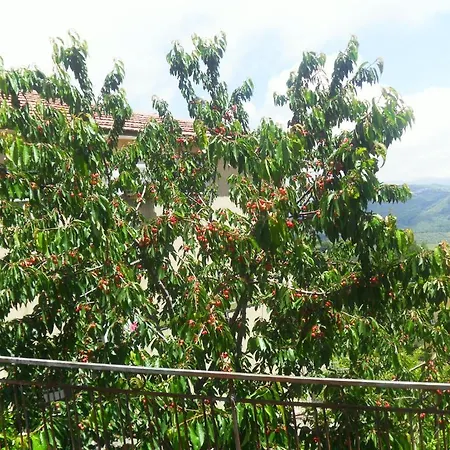 La Vecchia Taverna Frühstückspension Prignano Cilento