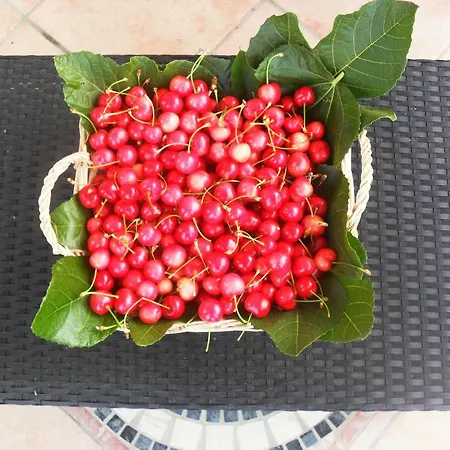 La Vecchia Taverna ベッド・アンド・ブレックファスト 3*