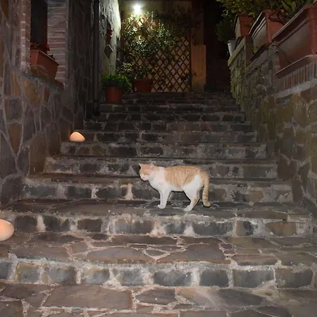 La Vecchia Taverna 3*