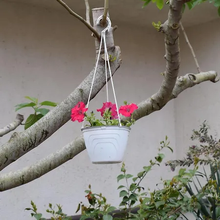 Bed & Breakfast La Vecchia Taverna Prignano Cilento