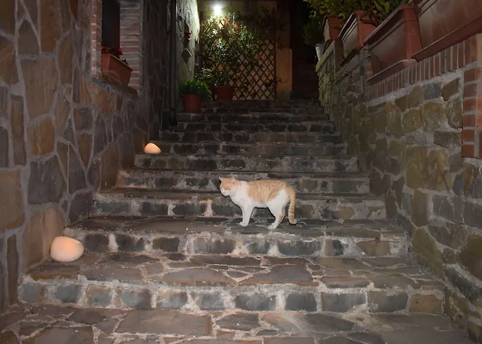 La Vecchia Taverna Bed & Breakfast 3*