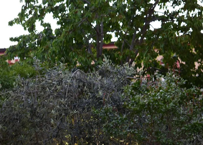 Bed & Breakfast La Vecchia Taverna