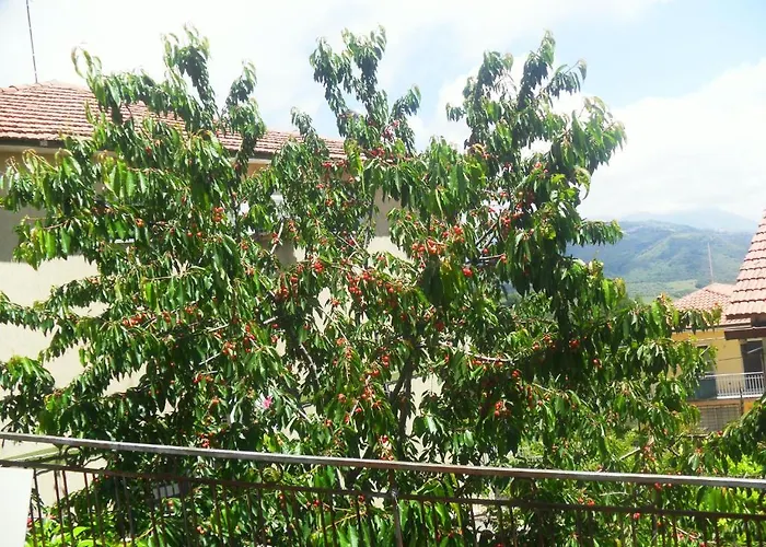 La Vecchia Taverna Bed & Breakfast Prignano Cilento