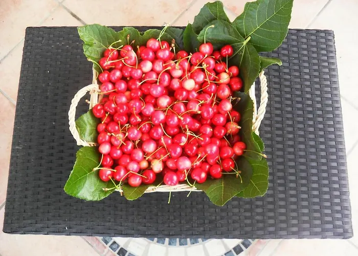 La Vecchia Taverna Bed & Breakfast 3*